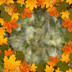 Bright multicolored autumn leaves on the abstract beautiful back