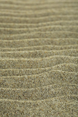 Sea sand texture