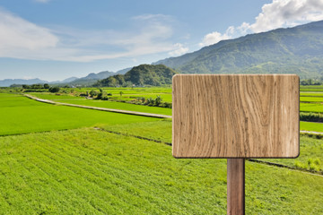 Blank wooden sign