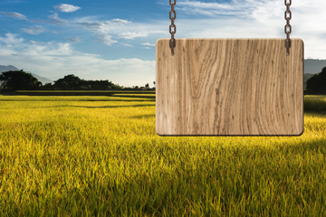 Blank wooden sign