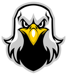 Fototapeta premium eagle head mascot