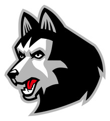 siberian husky dog mascot © bazzier
