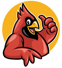 thumb up cardinal