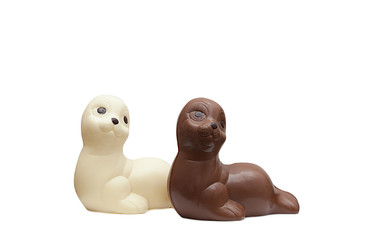 Two chocolate seals isolated on white backdrop