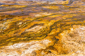 Yellowstone National Park