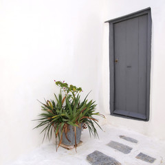 Door and flowerpot, Anafiotika, Athens Greece