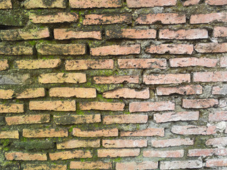 old red brick wall grown with grass and moss
