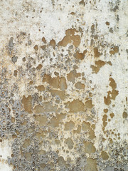 Vintage or grungy white background