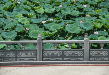 Fototapeta na wymiar Chinese pavilion column with water lilies