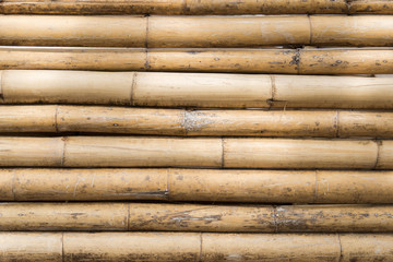 bamboo wall