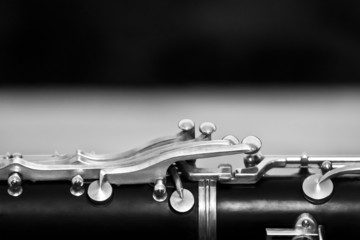 Fragment clarinet in black and white