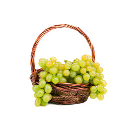 White grapes in basket.