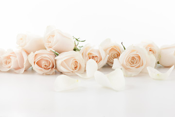 Weiße Rosen und Blütenblätter