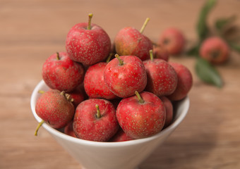 Hawthorn on white background