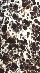 hand drawings on cloth