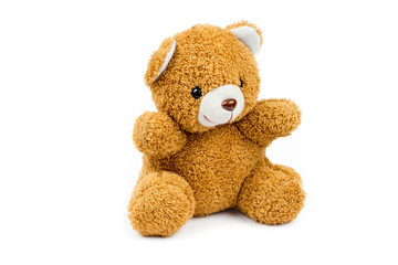 Cute little bear