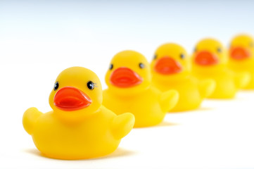 Ducks in a row