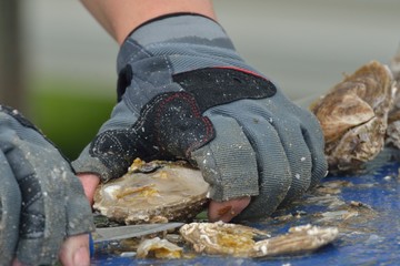 Close up of oyster being prepared