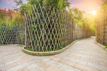 Sidewalk in the bamboo forest