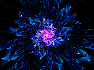 Colorful fractal flower