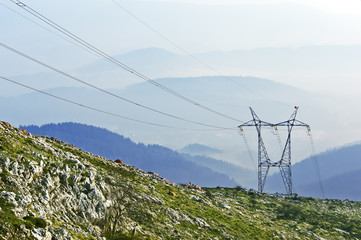 electric pole in nature