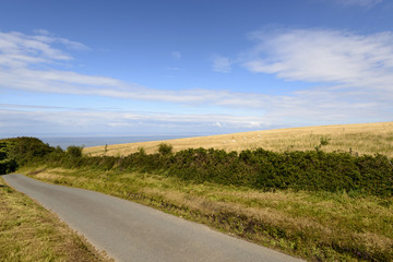 Fototapeta premium road and sea in the moor, Exmoor