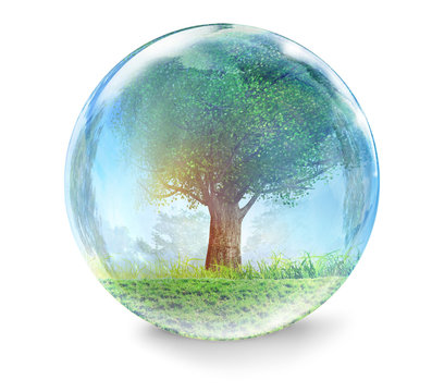tree in glass ball