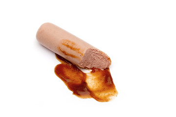 sausage on the white background