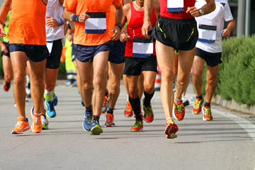 muscular legs of athletes engaged in long marathon