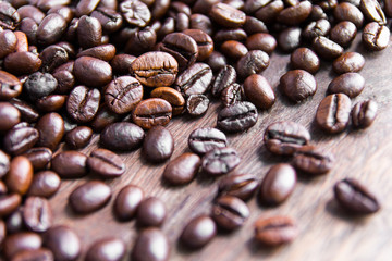 Close up of coffee beans lying strewn along the wood decay.