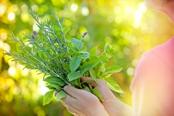 Photo sur Plexiglas Aromatique Herbes fraîches - épices dans les mains de la femme