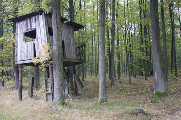 Ambona łowiecka © Piotr Szpakowski