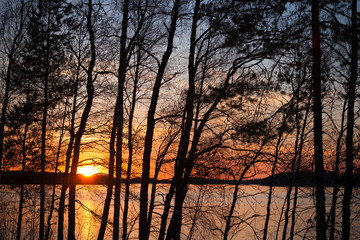 Sunset on Saimaa lake in Finland with silhouettes of trees