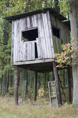 Ambona łowiecka © Piotr Szpakowski