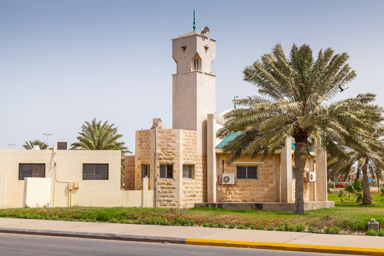 Modern mosque and palm in Rahima, Saudi Arabia
