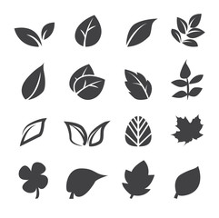 leaf icon