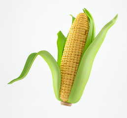 Corn © jules