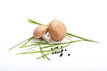Champignon Pilze, weißer Hintergrund, Gewürze, Kräuter