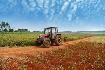 Obraz premium tractor and plow in field