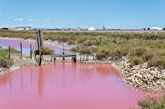 Pink salt water valve in a saline, Camargues, France