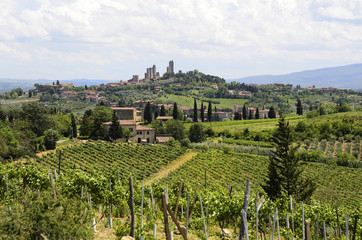 Fototapeta na wymiar Italy, San Gimignano