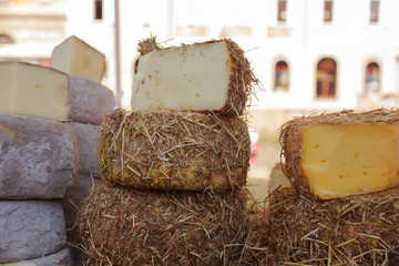 Italian cheeses © bepsphoto