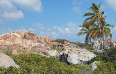On tropical island. Virgin-Gorda, Tortola
