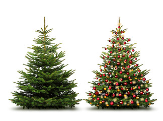 Ungeschmückter und Geschmückter Weihnachtsbaum