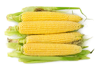 Heap of corns on the cob