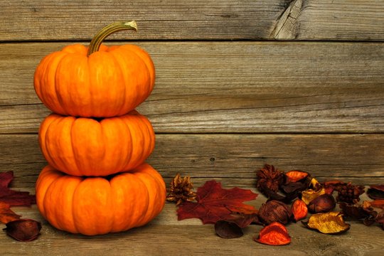 Stack of mini pumpkins on a wooden background