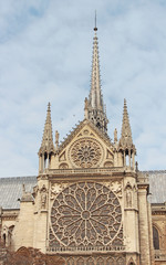 Fototapeta na wymiar Paris Notre Dame