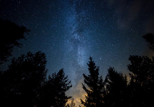 Fototapeta Milky Way over the Forest