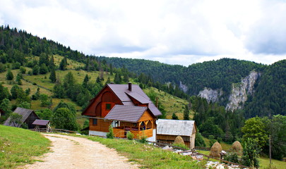 Fototapeta na wymiar Romanian rural landscape in a village of the Apuseni Mountains