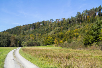 Herbst im Großen Goldersbachtal / Schönbuch